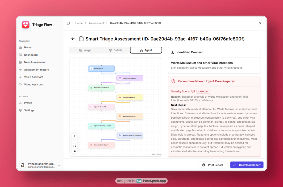 ResNet classification visualization